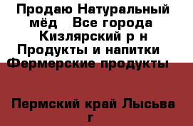 Продаю Натуральный мёд - Все города, Кизлярский р-н Продукты и напитки » Фермерские продукты   . Пермский край,Лысьва г.
